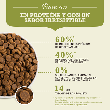 null - Product image 4.0